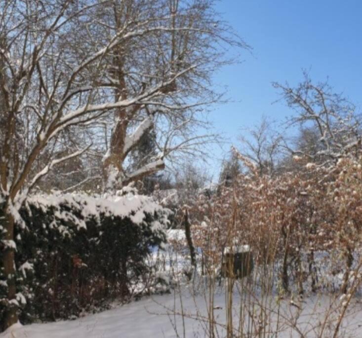 Zimmer Hohbuch Mit Achalmblick Reutlingen Ngoại thất bức ảnh